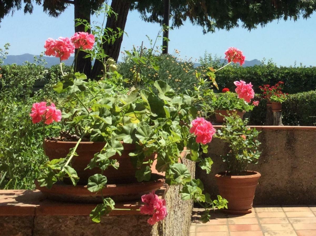 Ferienwohnung Campo Al Cerro Bolgheri Exterior foto